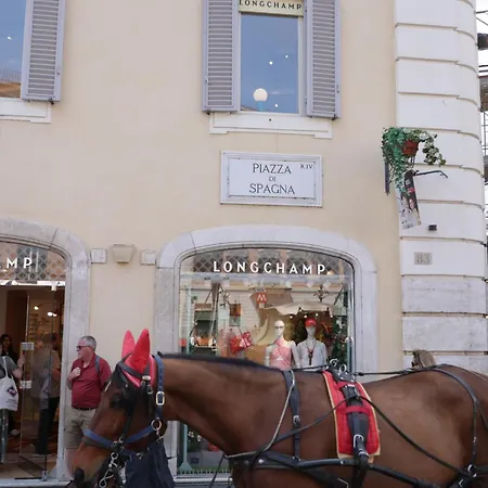 Deluxe Spanish Steps *