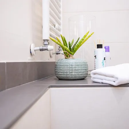 Deluxe Spanish Steps *